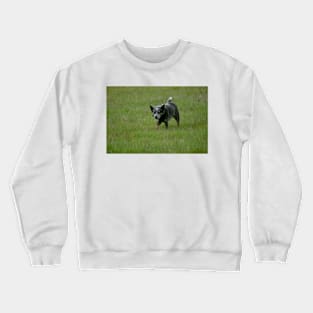 elb the hunter Crewneck Sweatshirt